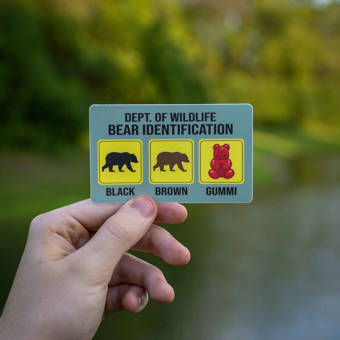 Bear Identification Sticker
