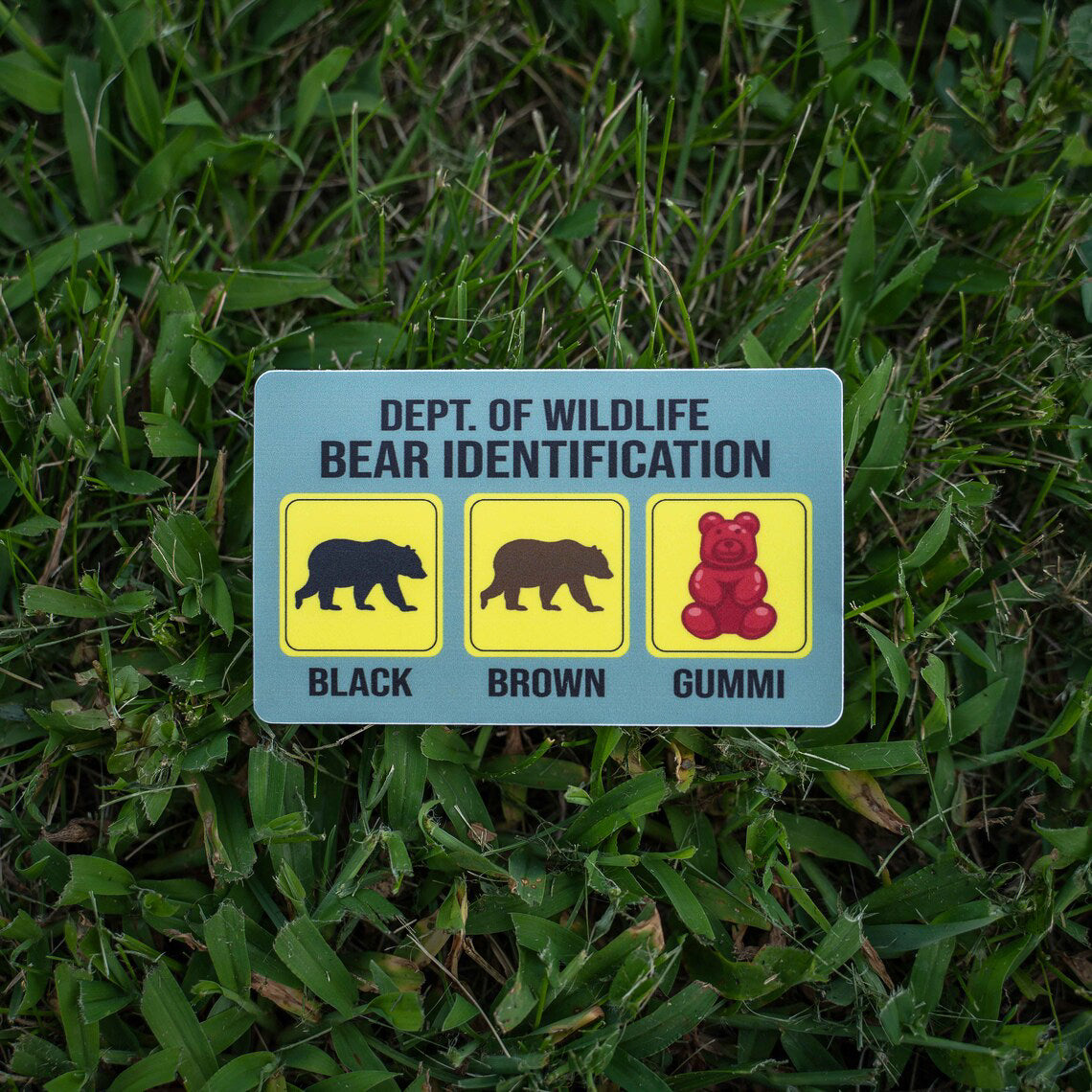 Bear Identification Sticker