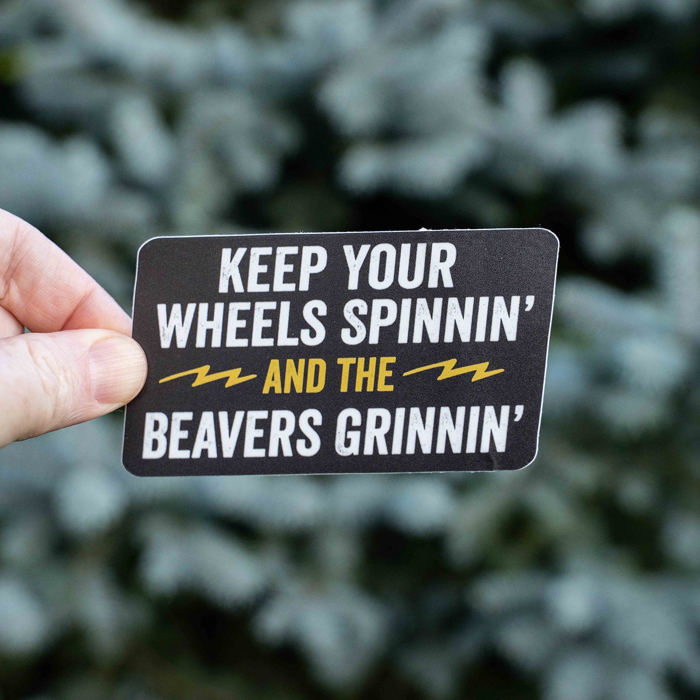 Keep Your Wheels Spinnin' and the Beavers Grinnin