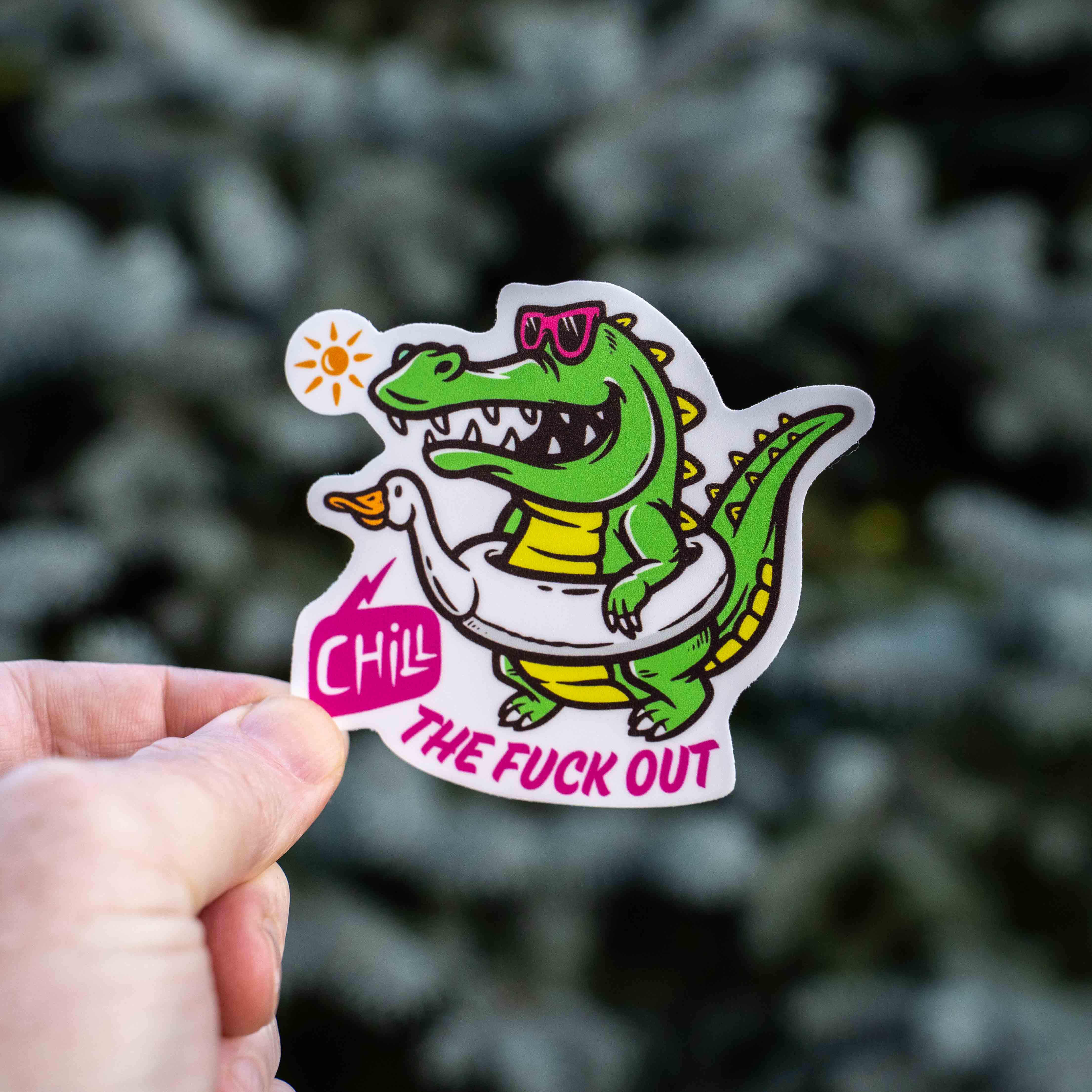 Chill the Fuck Out 