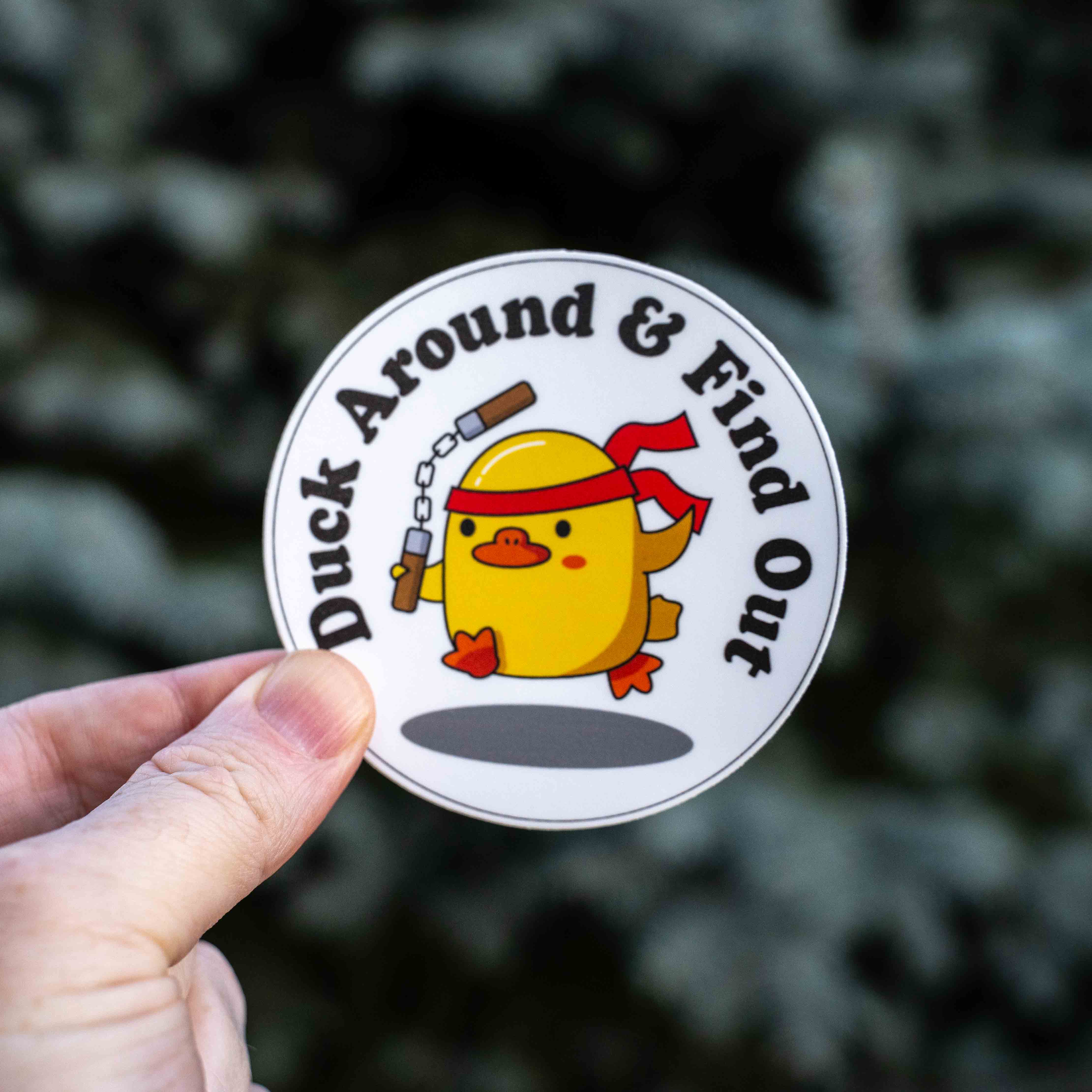 Duck Around and Find Out Sticker