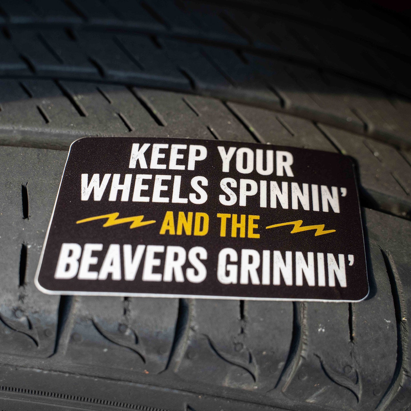 Keep Your Wheels Spinnin' and the Beavers Grinnin